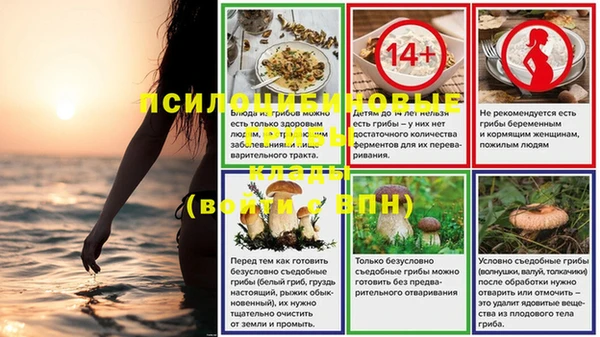 ALPHA PVP Пролетарск