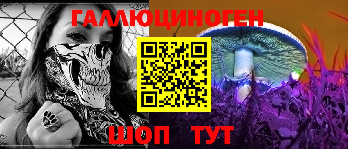 Донецк  Псилоцибиновые грибы GOLDEN TEACHER  Вход с VPN 