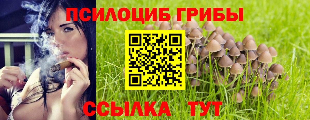 Галлюциногенные грибы мицелий Донецк